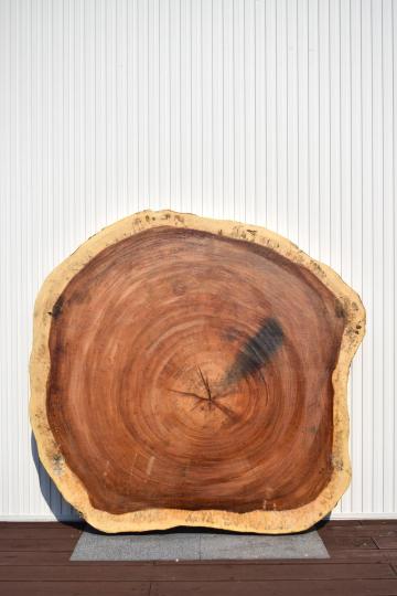 ☆希少☆輪切一枚板 一枚板輪切り | 天然木材工房 村上一枚板
