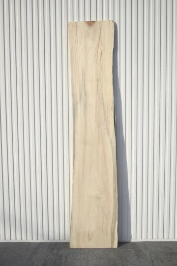 52MKE3102/8 クルミ 一枚板 一枚板カウンター