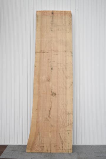 02USG1220/10 樺 一枚板 一枚板カウンター