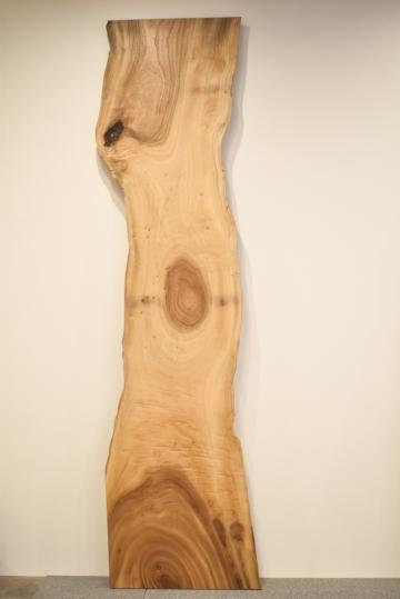 52MKE3102/2 楠 一枚板 一枚板カウンター