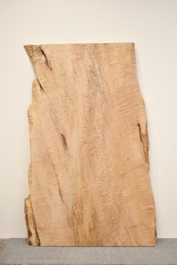 42IKF4221/19 メープル 一枚板 一枚板リビングテーブル 一枚板ダイニングテーブル