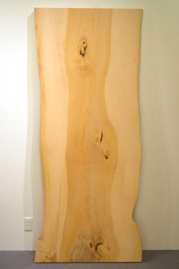 19USG7150/9 イチョウ 一枚板 一枚板ダイニングテーブル