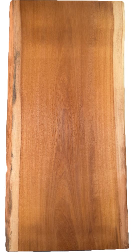 村上一枚板 - 無垢一枚板 取扱樹種紹介:イロコ