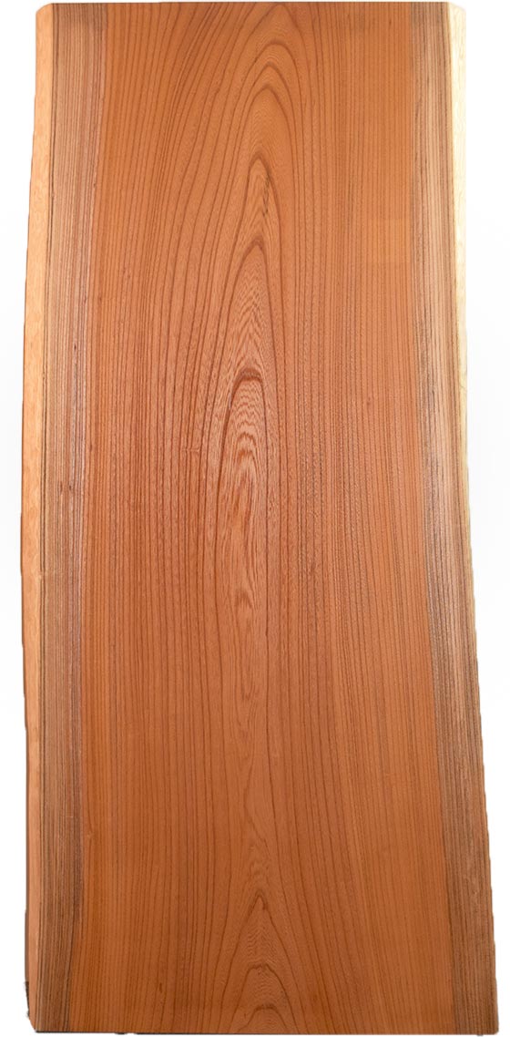 村上一枚板 - 無垢一枚板 取扱樹種紹介:ケヤキ（欅）