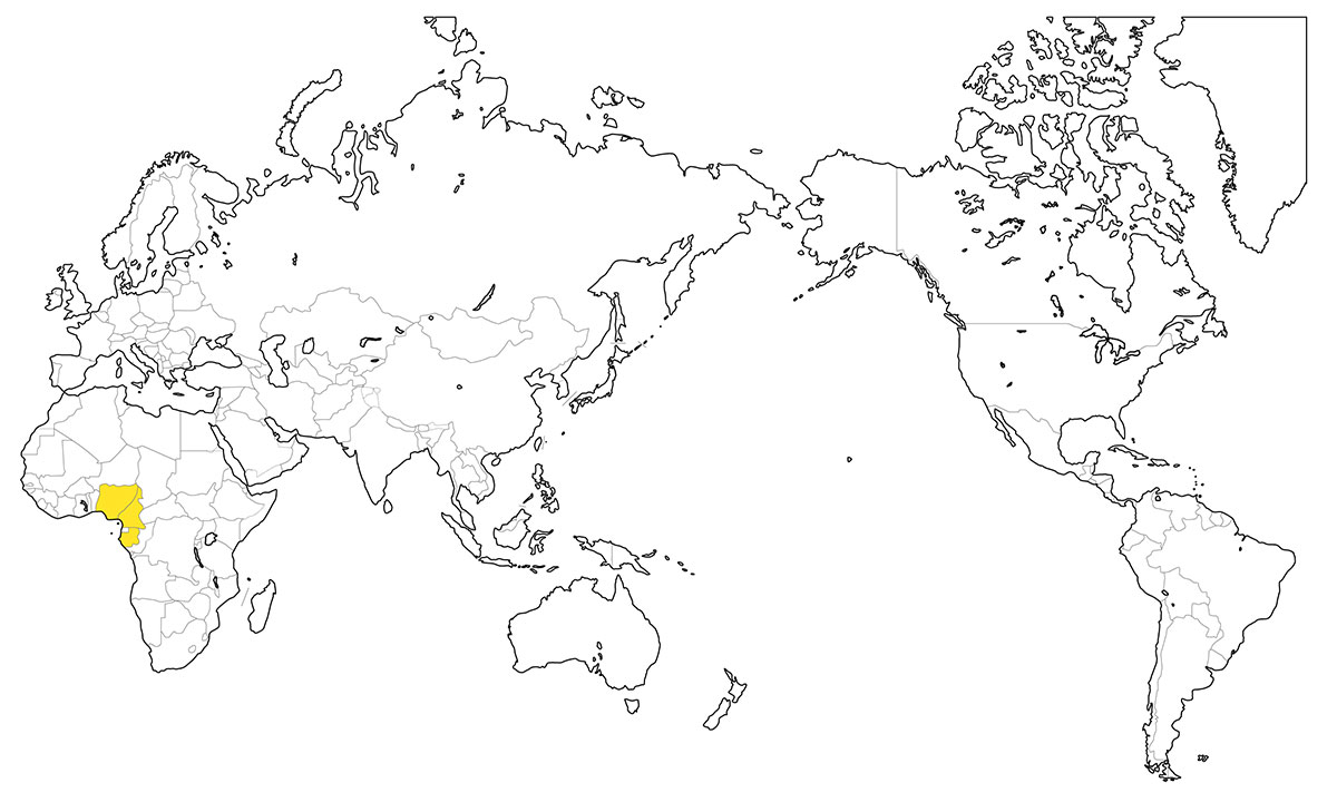 村上一枚板 - 無垢一枚板 モアビ産地