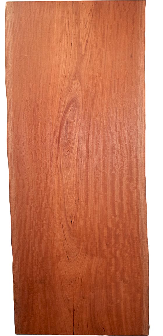 村上一枚板 - 無垢一枚板 取扱樹種紹介:モアビ