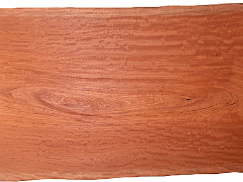 村上一枚板 - 無垢一枚板 取扱樹種紹介:モアビ