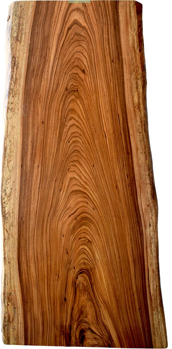 村上一枚板 - 無垢一枚板 取扱樹種紹介:ベリーウッド