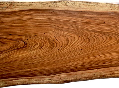 村上一枚板 - 無垢一枚板 取扱樹種紹介:ベリーウッド