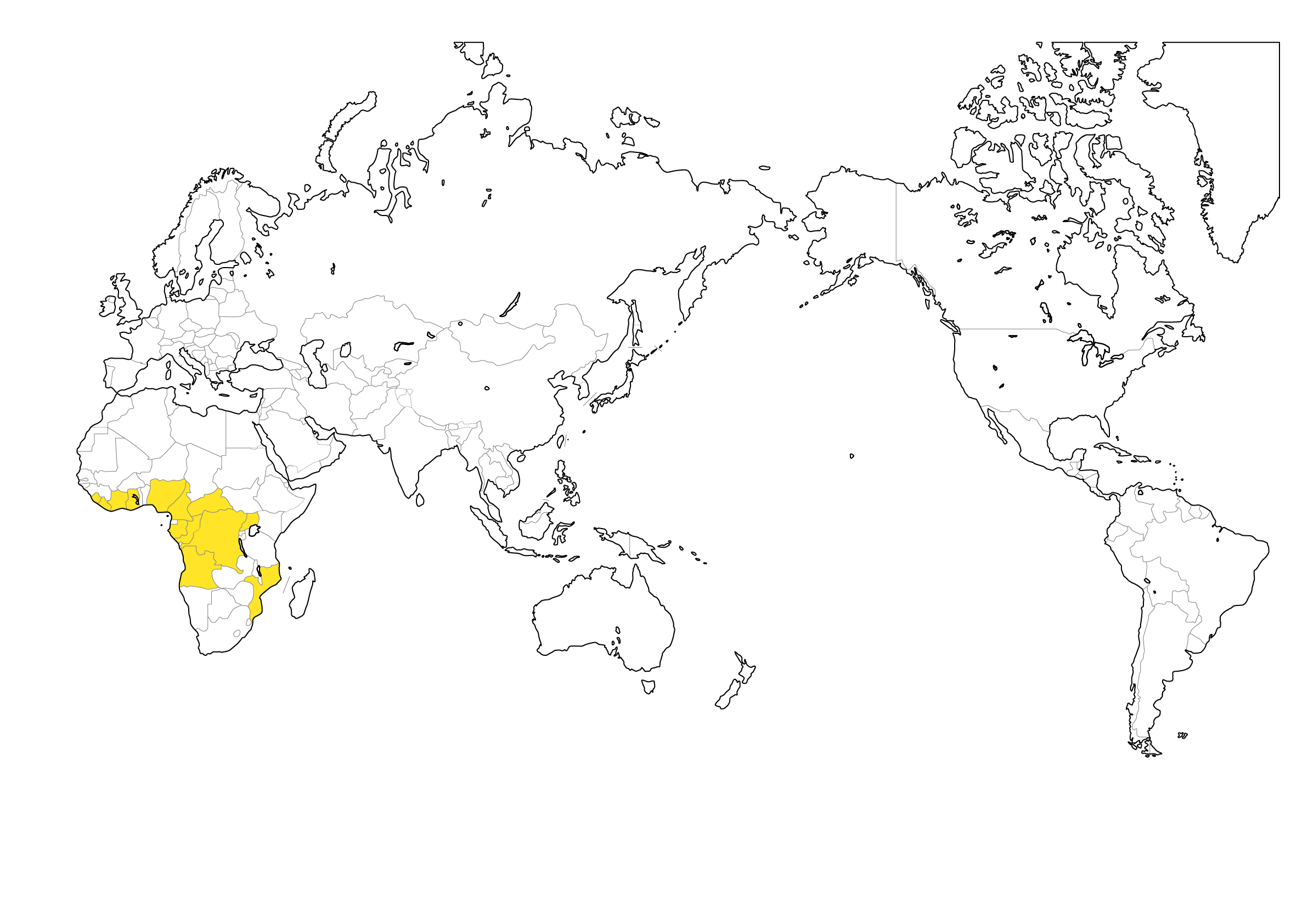 村上一枚板 - 無垢一枚板 ビリンガ産地