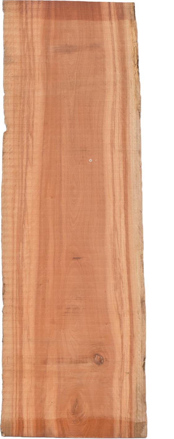 村上一枚板 - 無垢一枚板 取扱樹種紹介:ボセ