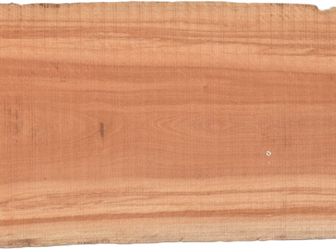 村上一枚板 - 無垢一枚板 取扱樹種紹介:ボセ