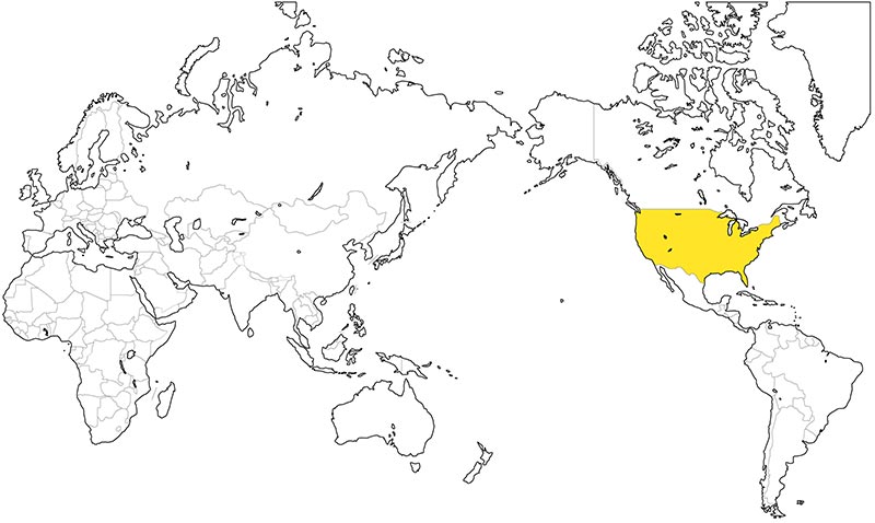 村上一枚板 - 無垢一枚板 チェリー産地