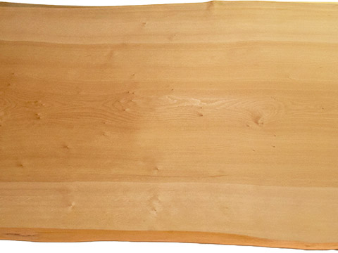 村上一枚板 - 無垢一枚板 取扱樹種紹介:イチョウ（銀杏）