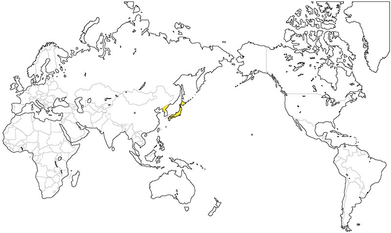 村上一枚板 - 無垢一枚板 クリ（栗）産地