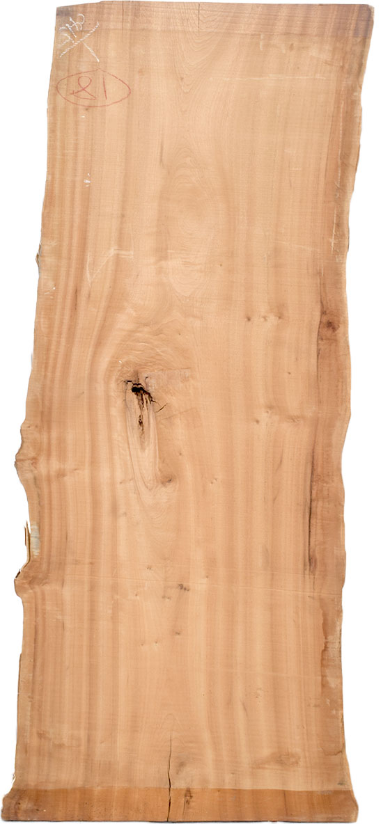 村上一枚板 - 無垢一枚板 取扱樹種紹介:クス（楠）