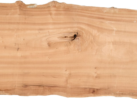 村上一枚板 - 無垢一枚板 取扱樹種紹介:クス（楠）