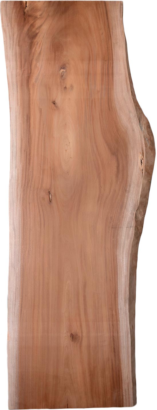 村上一枚板 - 無垢一枚板 取扱樹種紹介:マホガニー