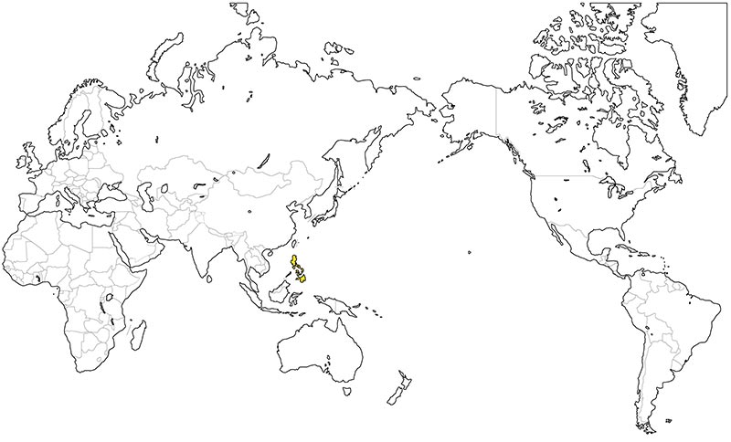 村上一枚板 - 無垢一枚板 マンゴー産地