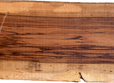 村上一枚板 - 無垢一枚板 取扱樹種紹介:マンゴー