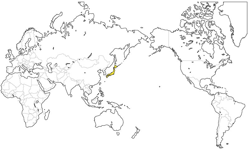 村上一枚板 - 無垢一枚板 モミ産地