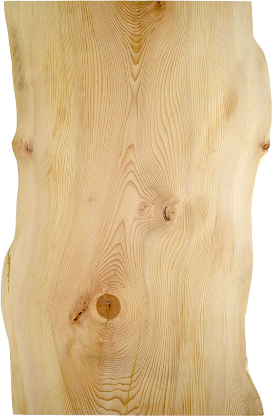 村上一枚板 - 無垢一枚板 取扱樹種紹介:モミ