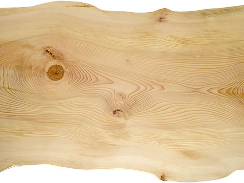 村上一枚板 - 無垢一枚板 取扱樹種紹介:モミ