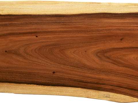 村上一枚板 - 無垢一枚板 取扱樹種紹介:モンキーポッド