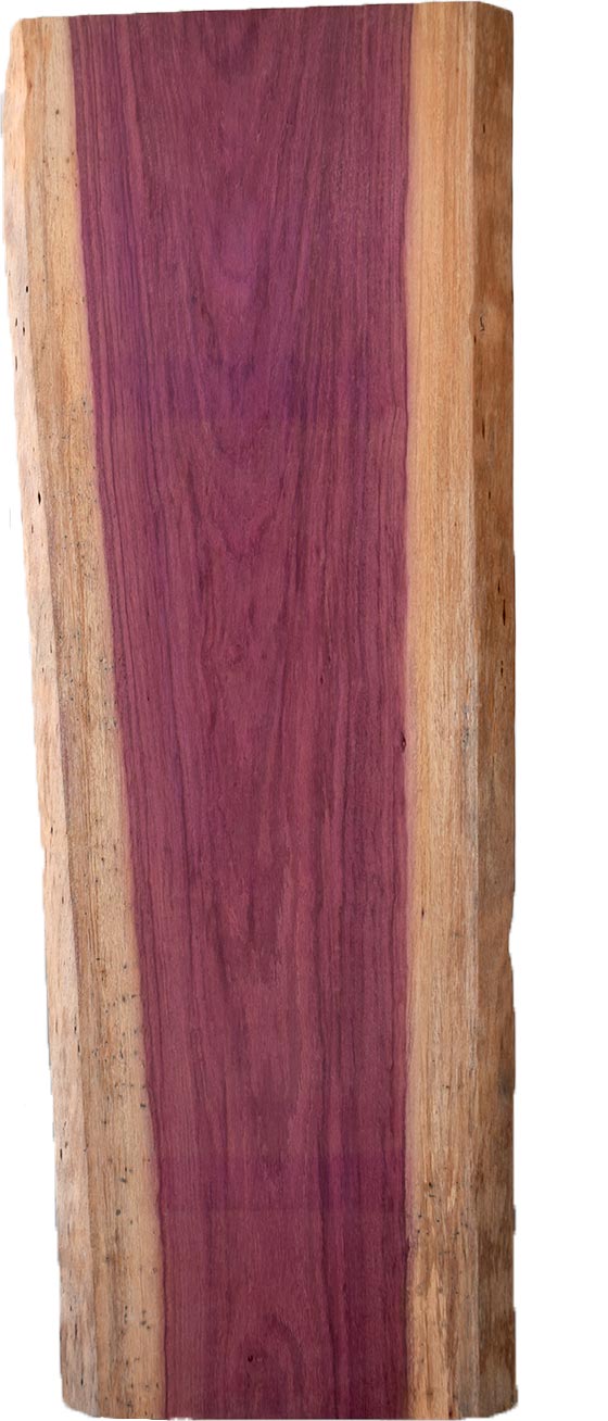 村上一枚板 - 無垢一枚板 取扱樹種紹介:パープルハート