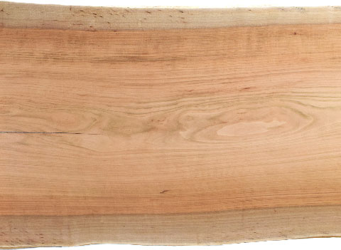 村上一枚板 - 無垢一枚板 取扱樹種紹介:山桜