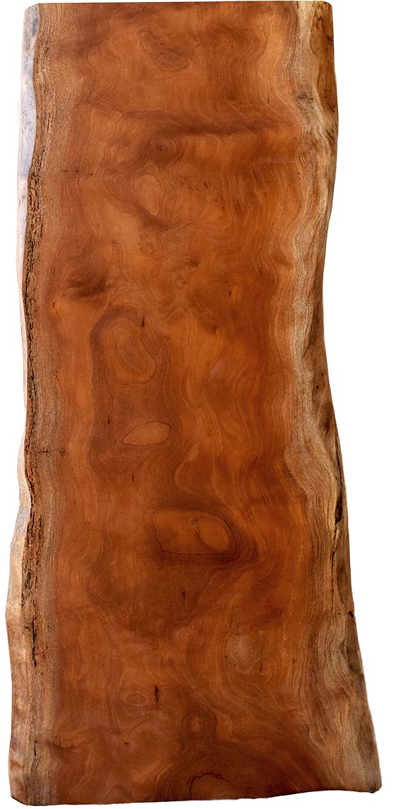 村上一枚板 - 無垢一枚板 取扱樹種紹介:サペリ