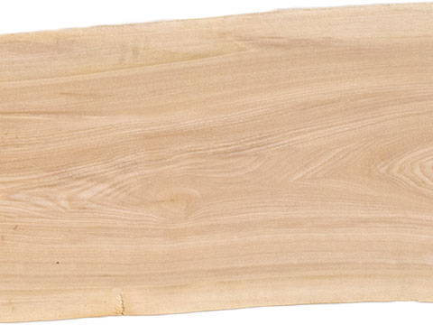 村上一枚板 - 無垢一枚板 取扱樹種紹介:セン（栓）