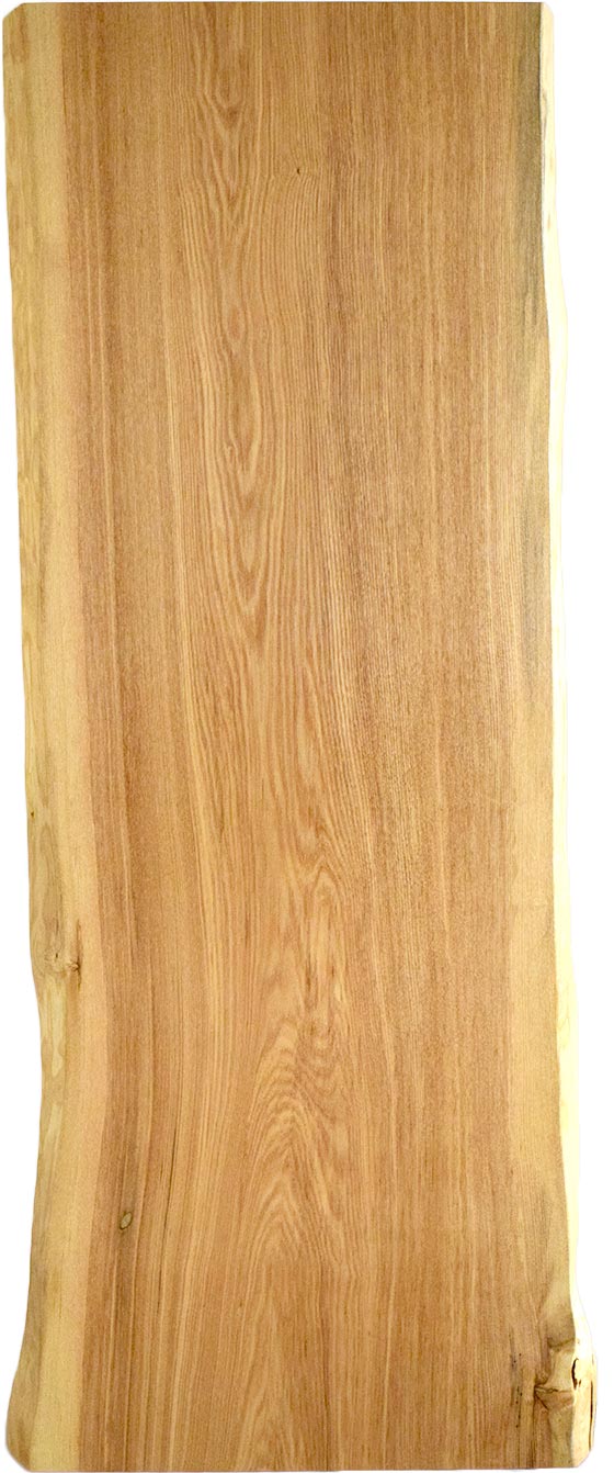 村上一枚板 - 無垢一枚板 取扱樹種紹介:シオジ