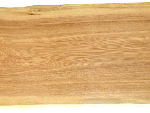 村上一枚板 - 無垢一枚板 取扱樹種紹介:シオジ