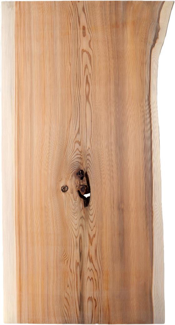 村上一枚板 - 無垢一枚板 取扱樹種紹介:スギ（杉）