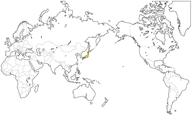 村上一枚板 - 無垢一枚板 トチ（栃）産地