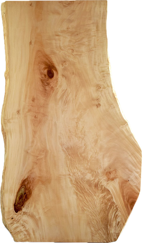 村上一枚板 - 無垢一枚板 取扱樹種紹介:トチ（栃）