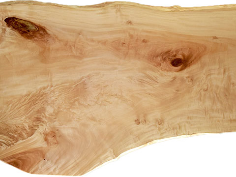 村上一枚板 - 無垢一枚板 取扱樹種紹介:トチ（栃）